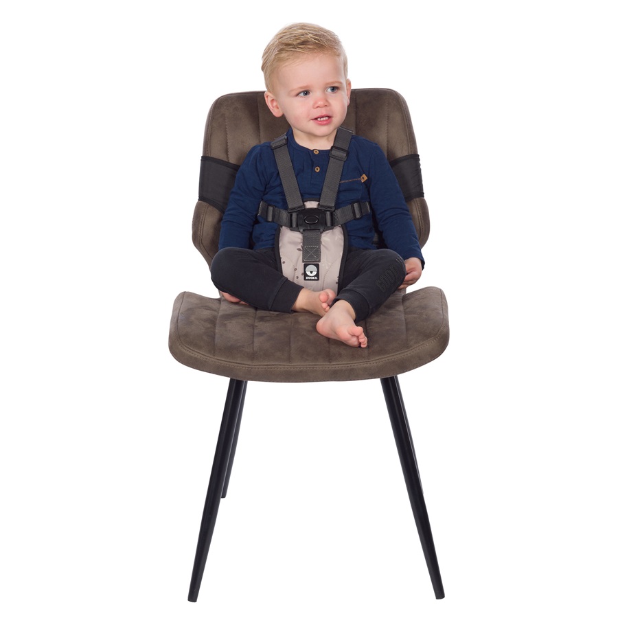 Laste söögitool Dooky Travel High Chair Beige Leaves