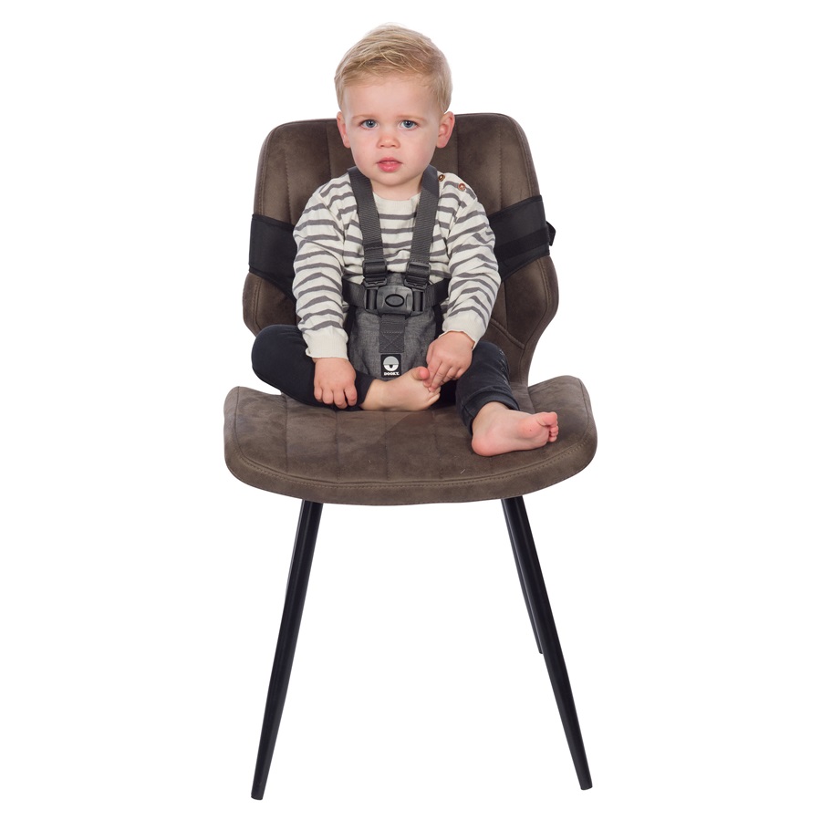 Laste söögitool Dooky Travel High Chair Grey